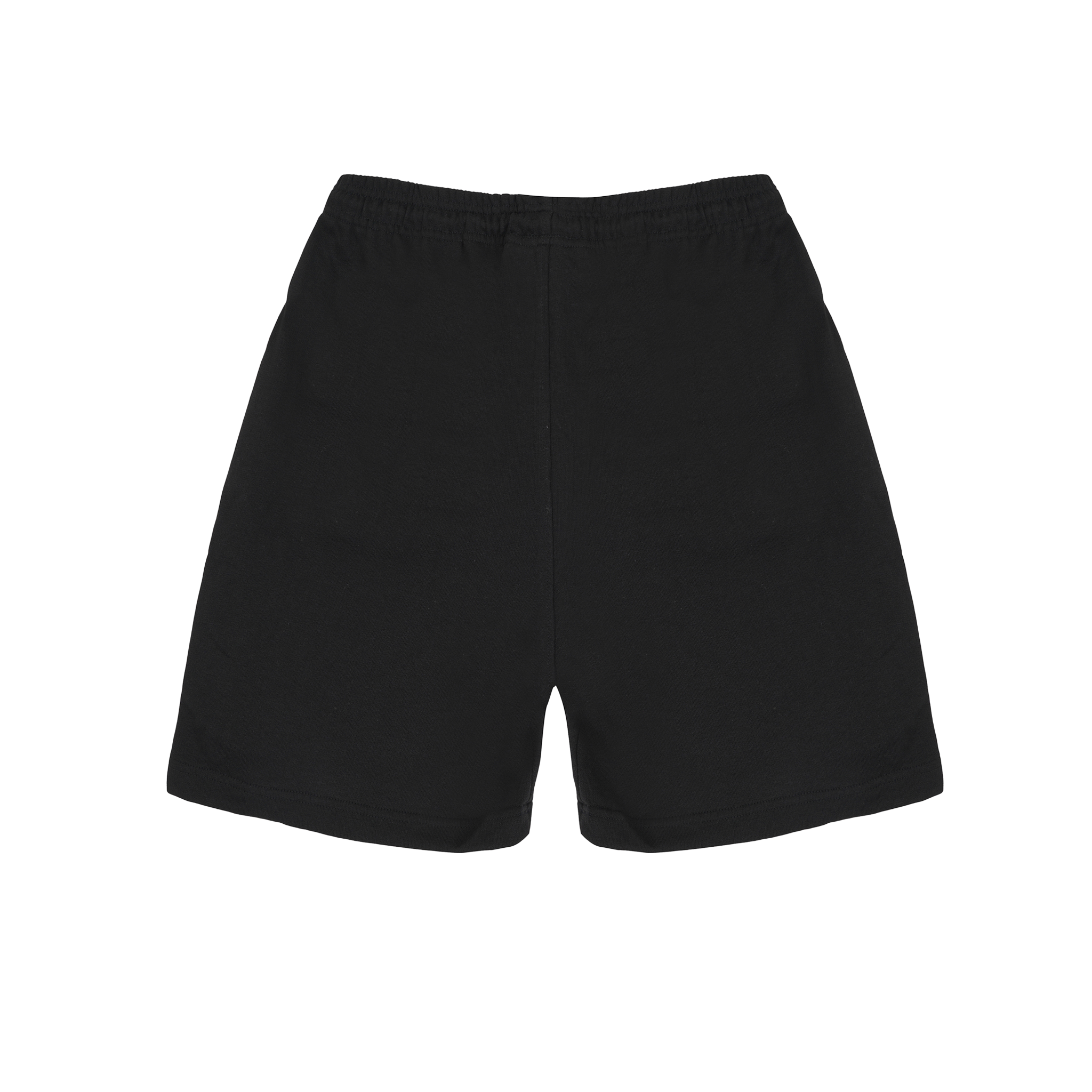 Apex Shorts Back